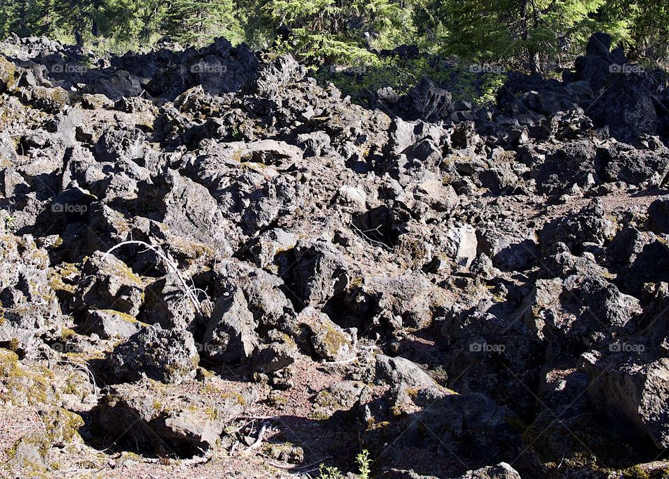 Jagged and rugged hardened lava rock high up in Oregon’s Cascade Mountains and forests on a sunny summer morning. 