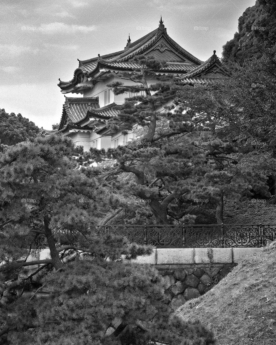 Japanese Palace