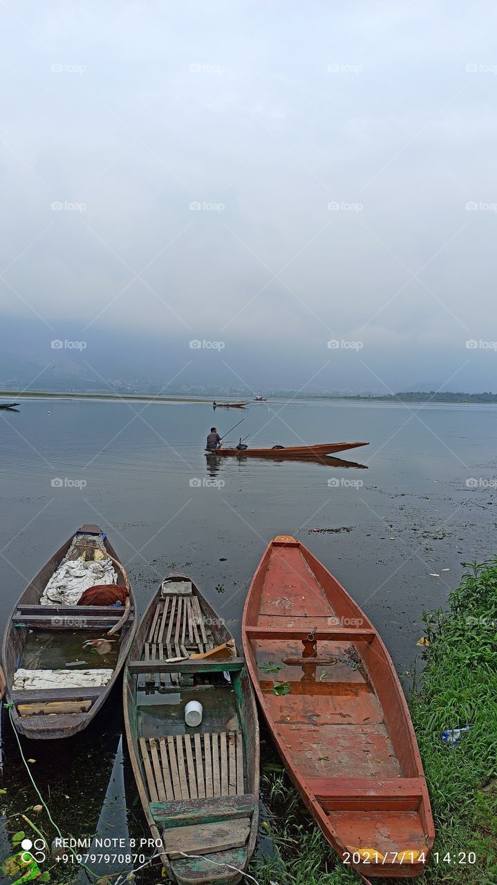 Rowing boats in Dal Lake Srinagar Kashmir