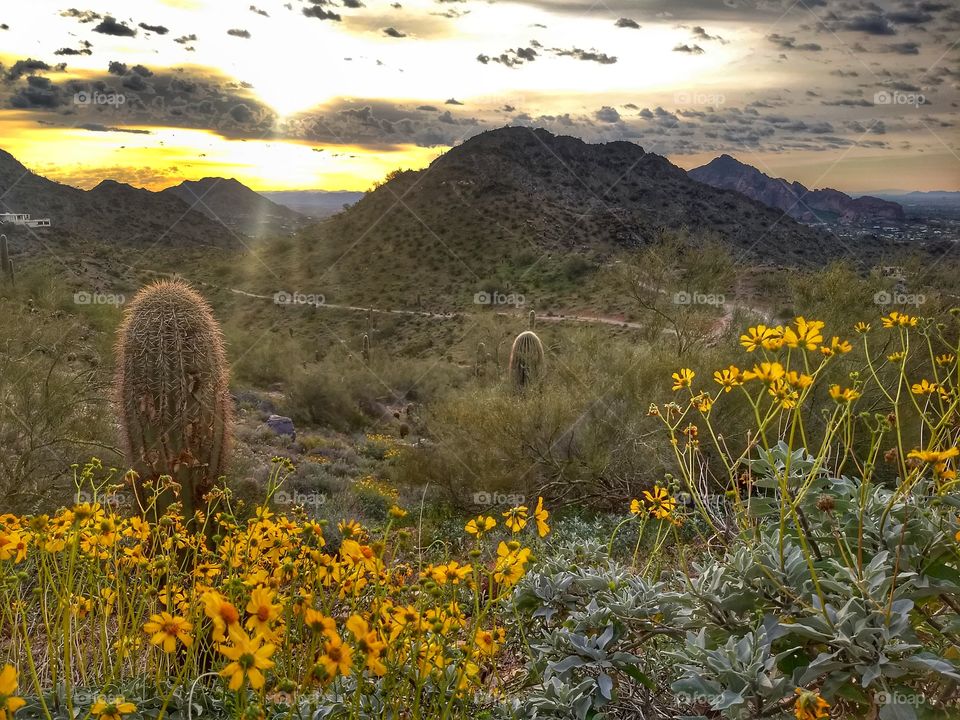Sunrise over a mountain trail and cacti