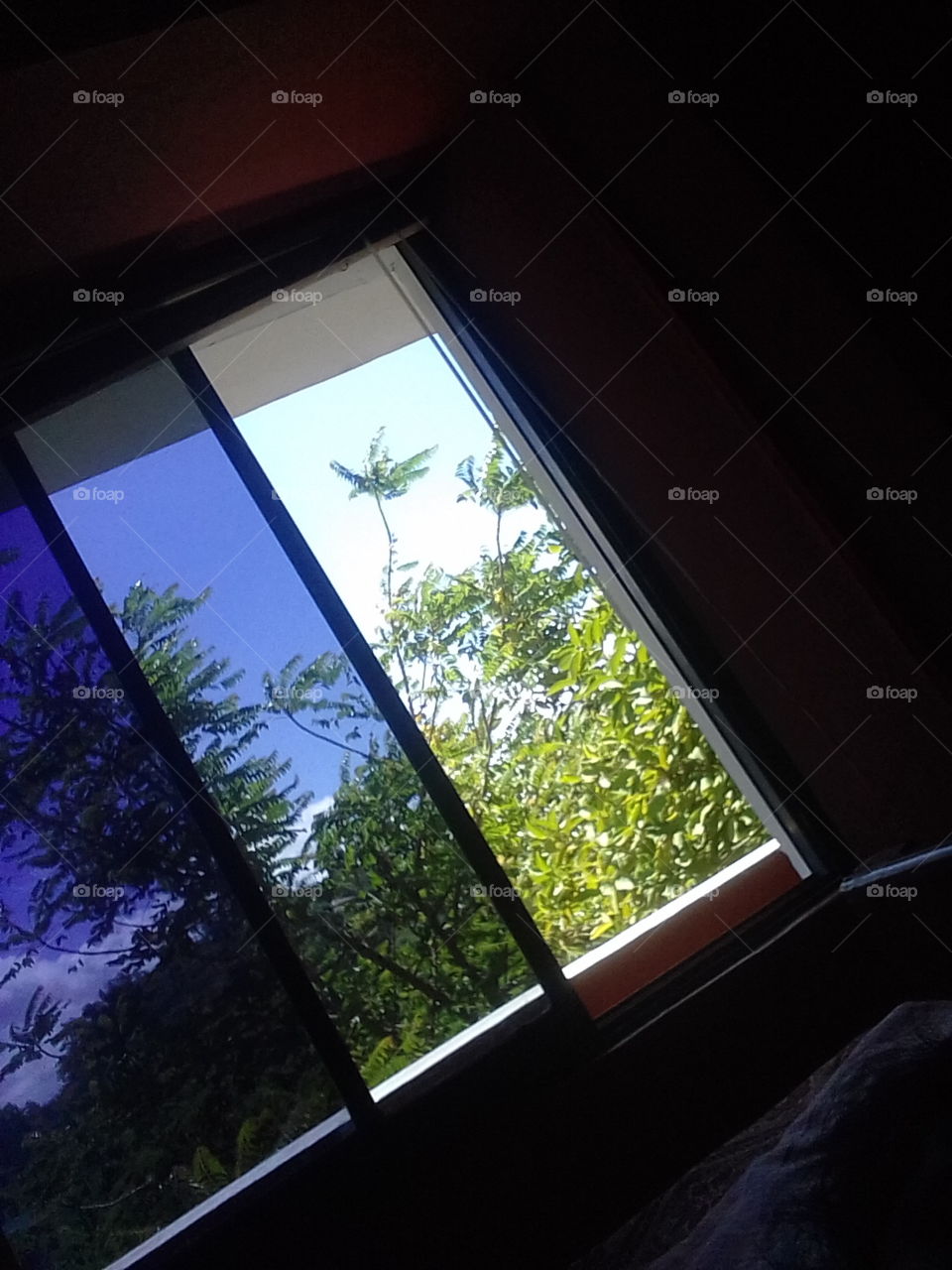 window open for nature