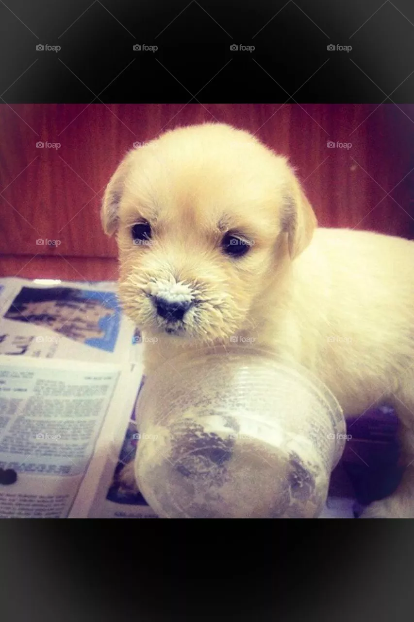 little