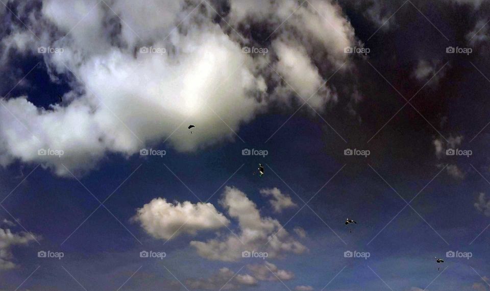 Color vs black and white