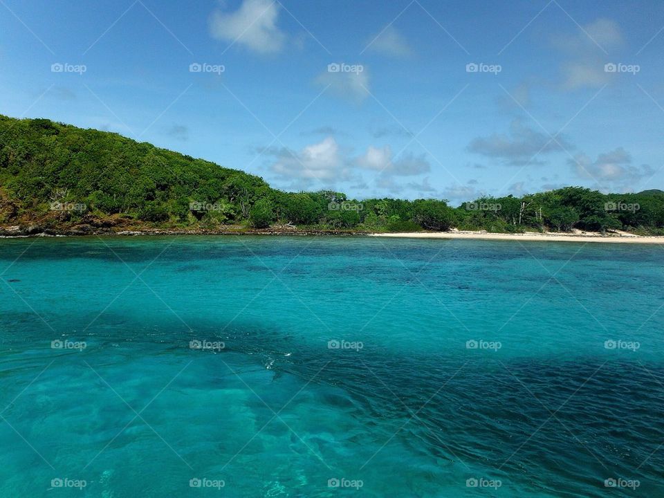 Scenic view of beach