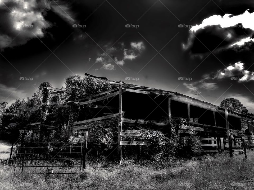 Abandoned Shed