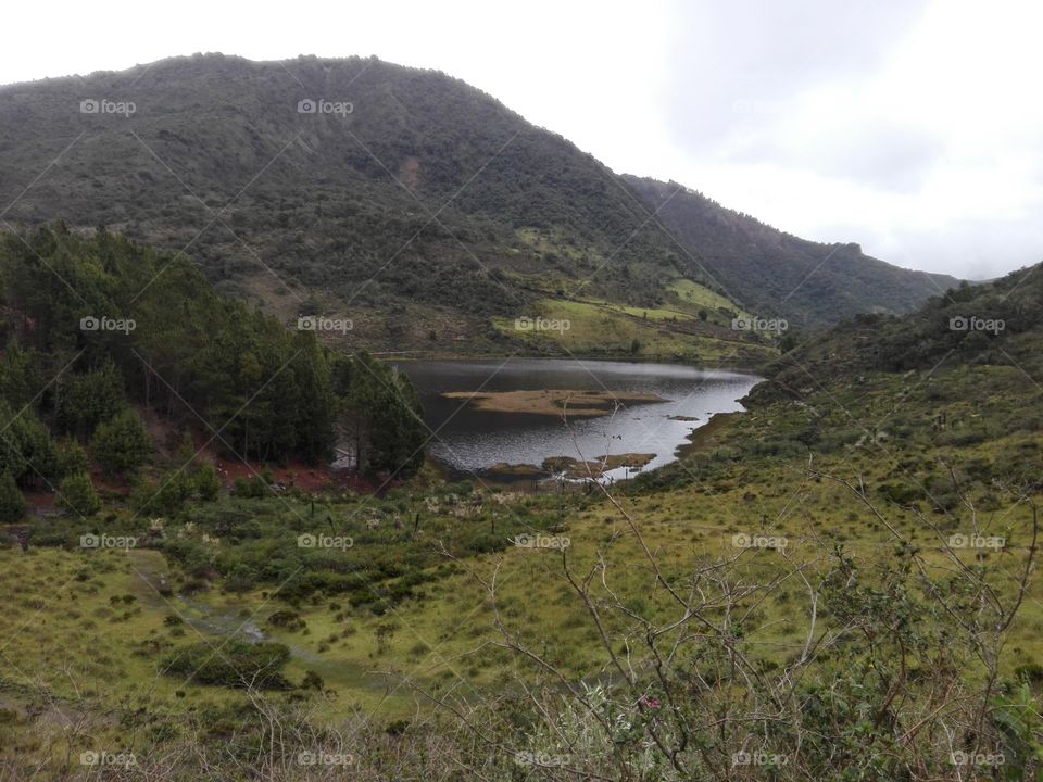 Laguna de cacota - Norte de Santander