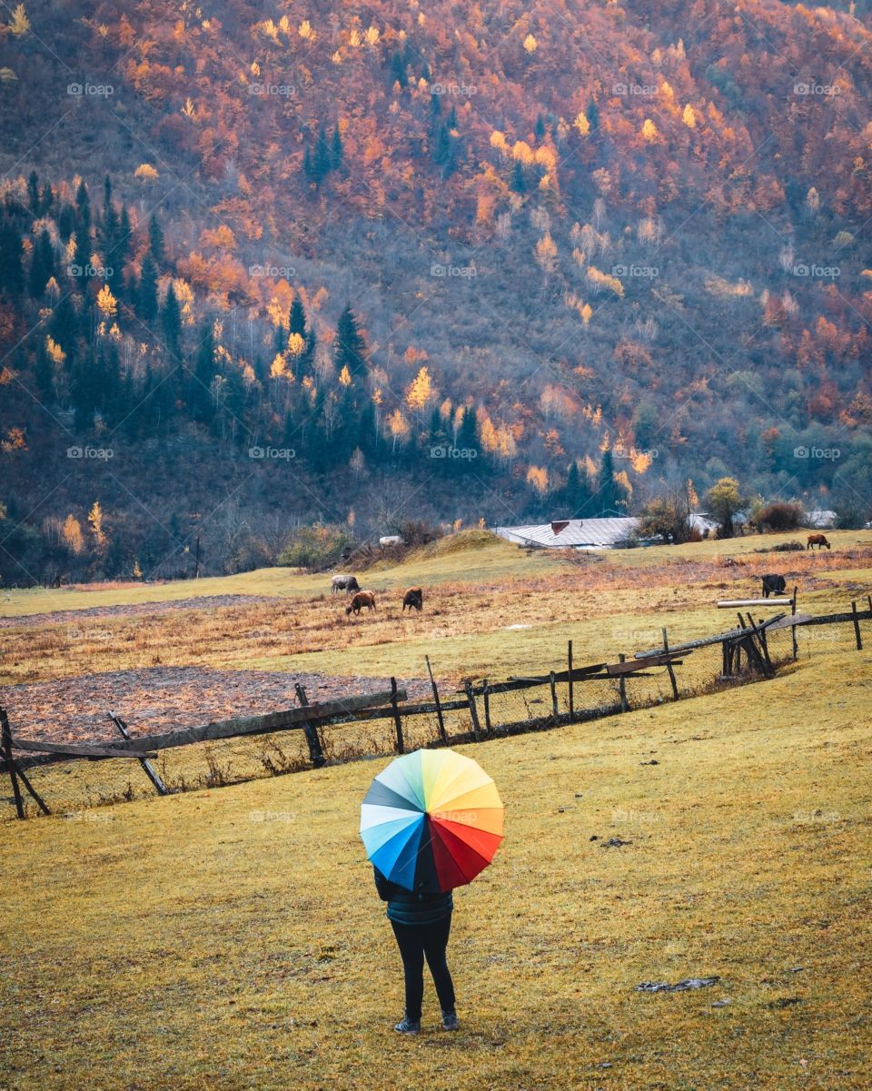 Moods of Autumn