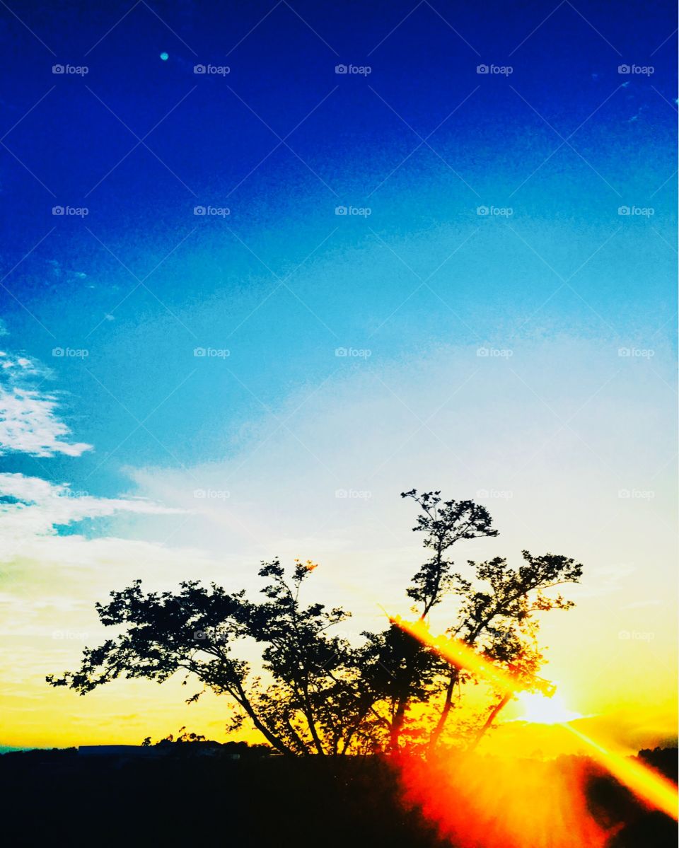 🌅Desperte, #Jundiaí!
Cores que nos inspiram na manhã e embelezam o céu!
🍃
#sol #sun #sky #céu #photo #nature #morning #alvorada #natureza #horizonte #fotografia #pictureoftheday #paisagem #inspiração #amanhecer #mobgraphy #mobgrafia