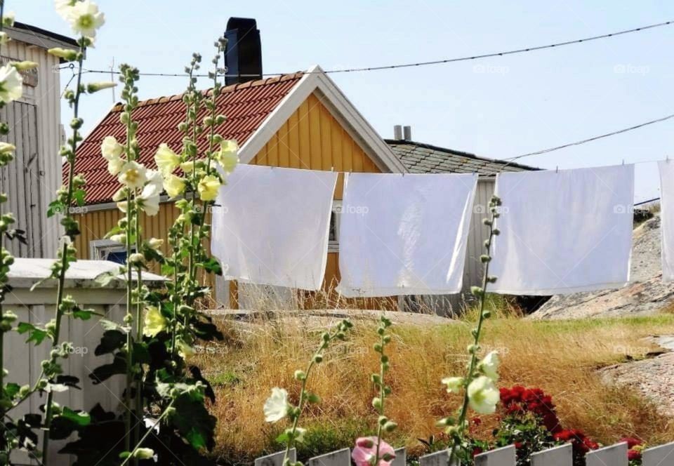 Sheets hanging to dry