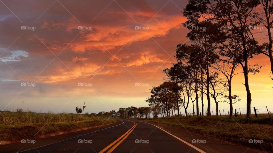 Road and Sunset