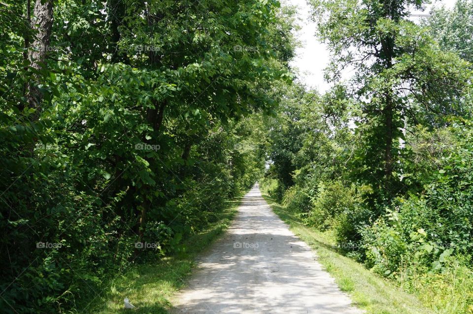 Prairie path