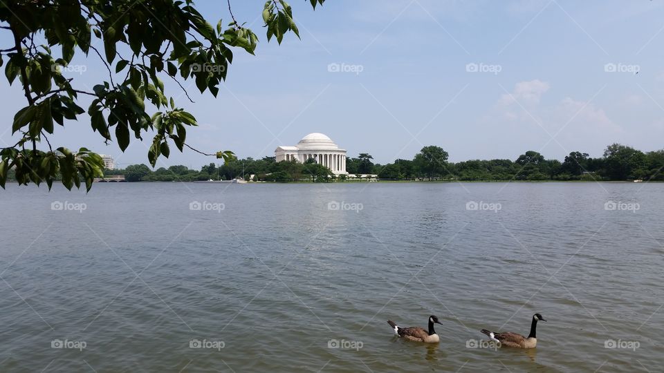 Jefferson monument in D.C.