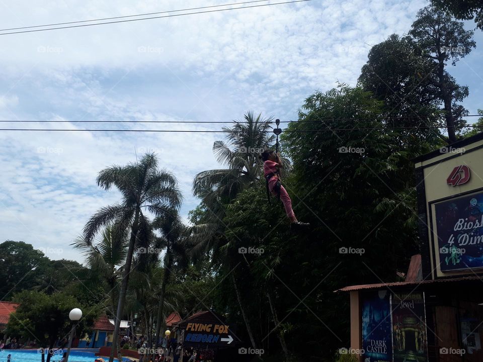 palm trees waving in summer