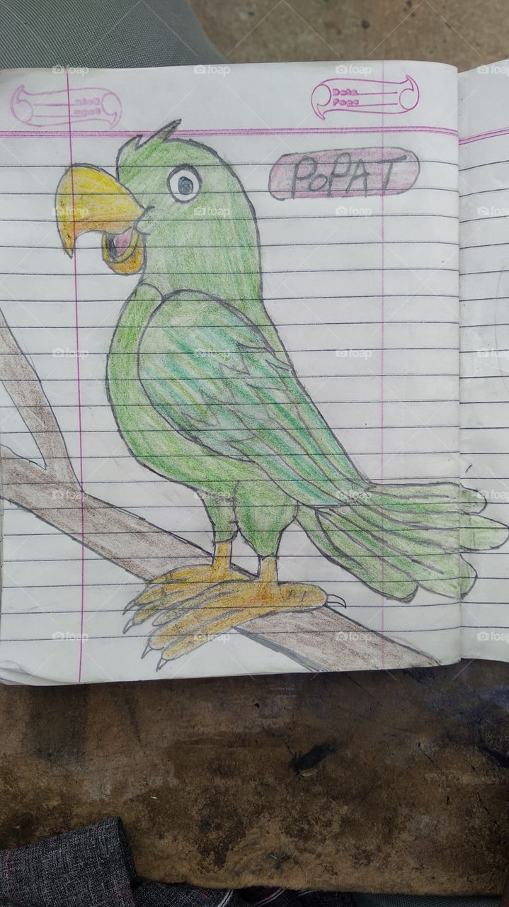 parrot