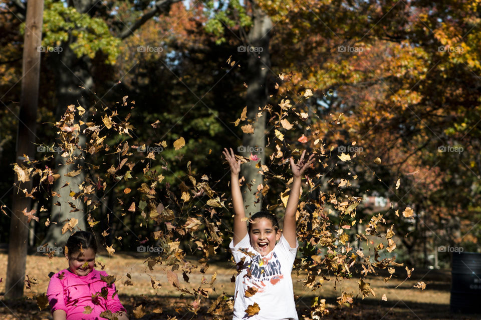 Falling leaves