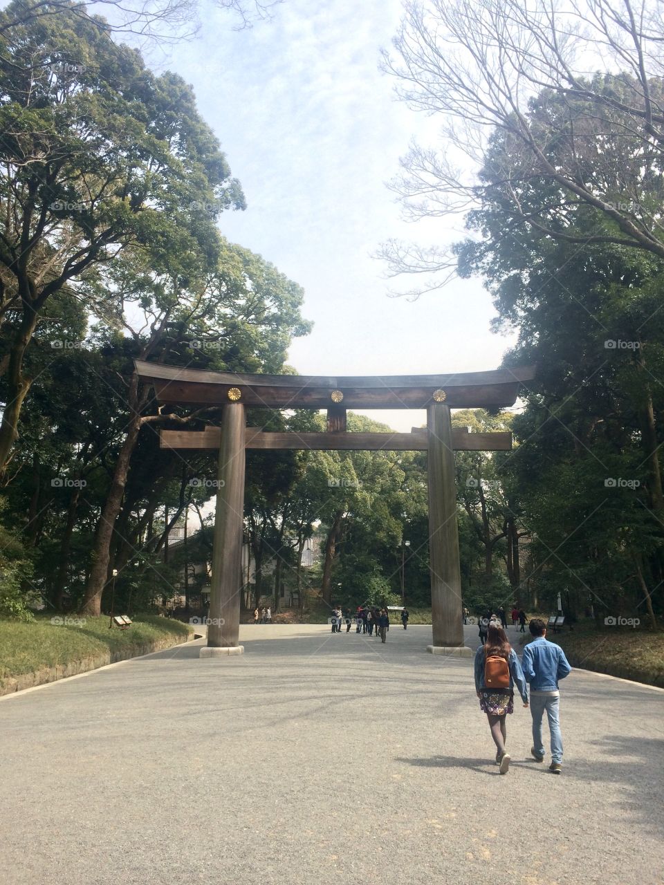 Meiji Shrine in Tolyo