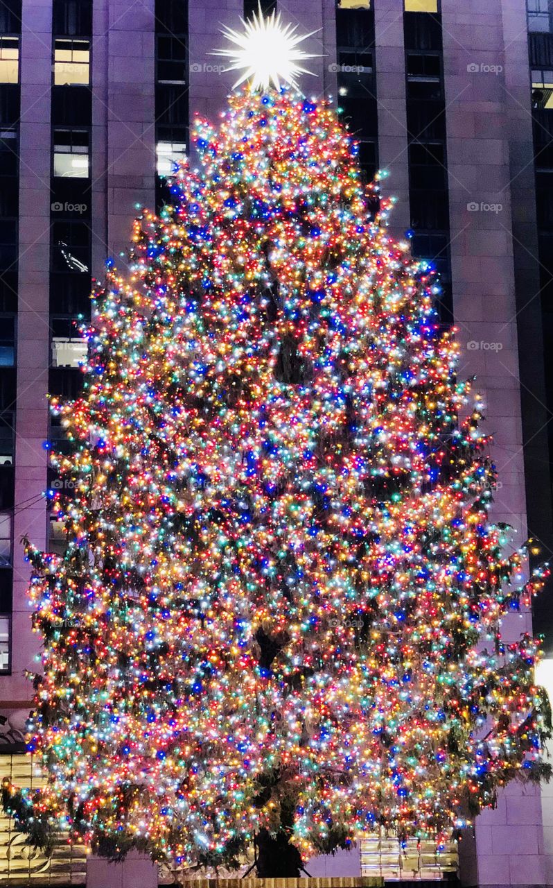 Christmas in New York- The Rockefeller Center Christmas Tree, is a world-wide symbol of the holidays in New York City. The 70 feet Norway Spruce is trimmed with 50,000 multi-colored LED lights.