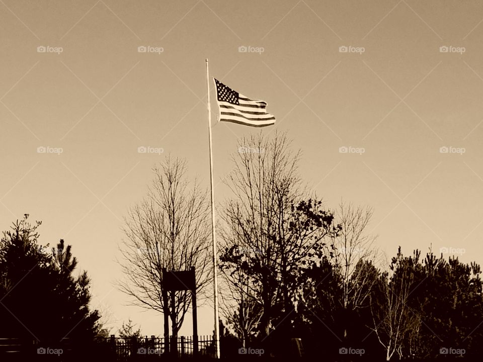 American Flag Sepia