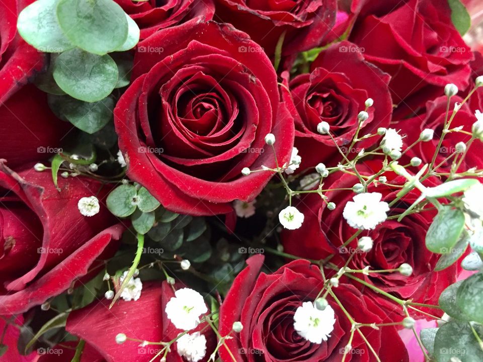 Bouquet for Valentine's Day