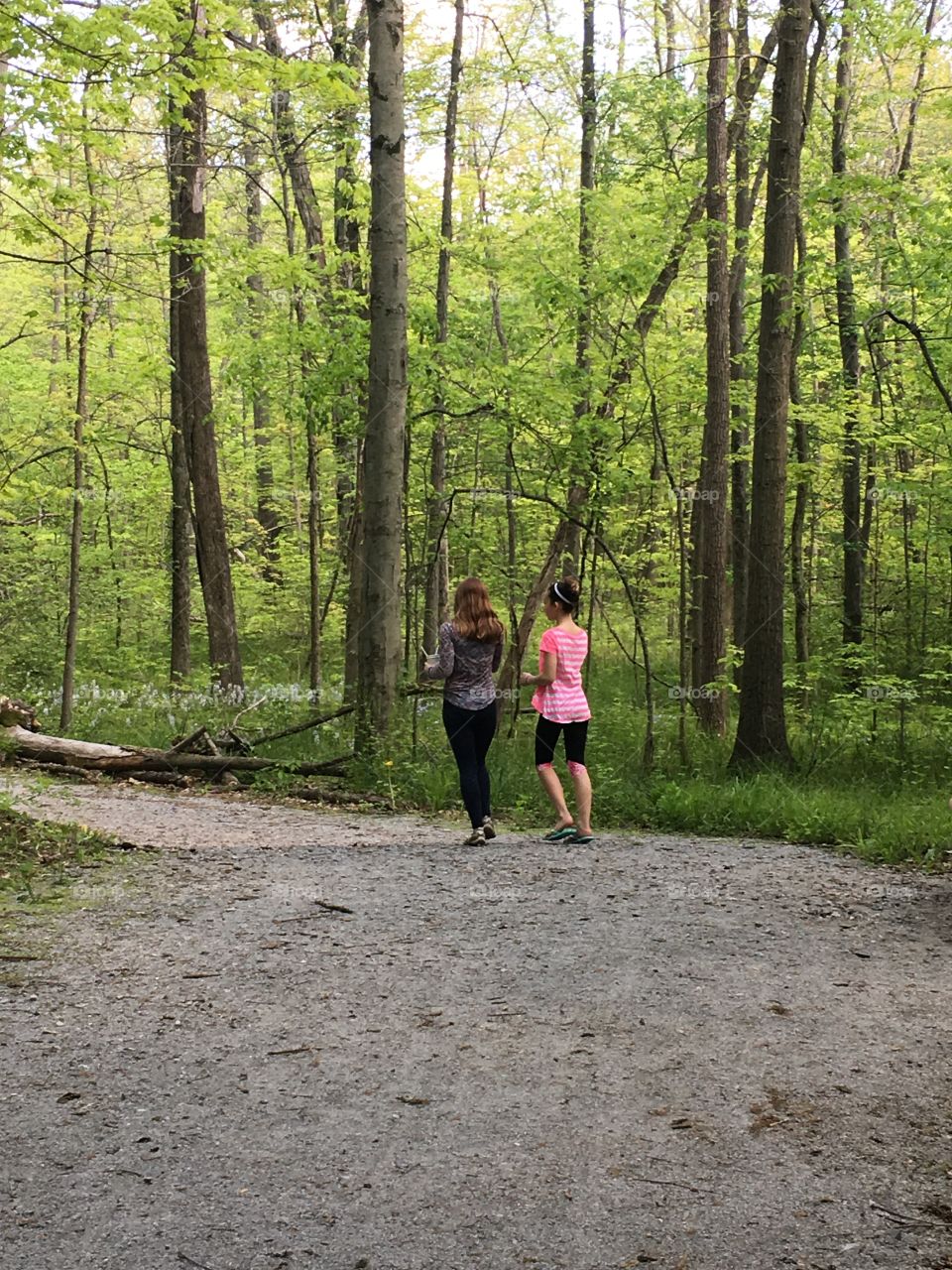 Teenage girls hiking in the woods in Ohio 