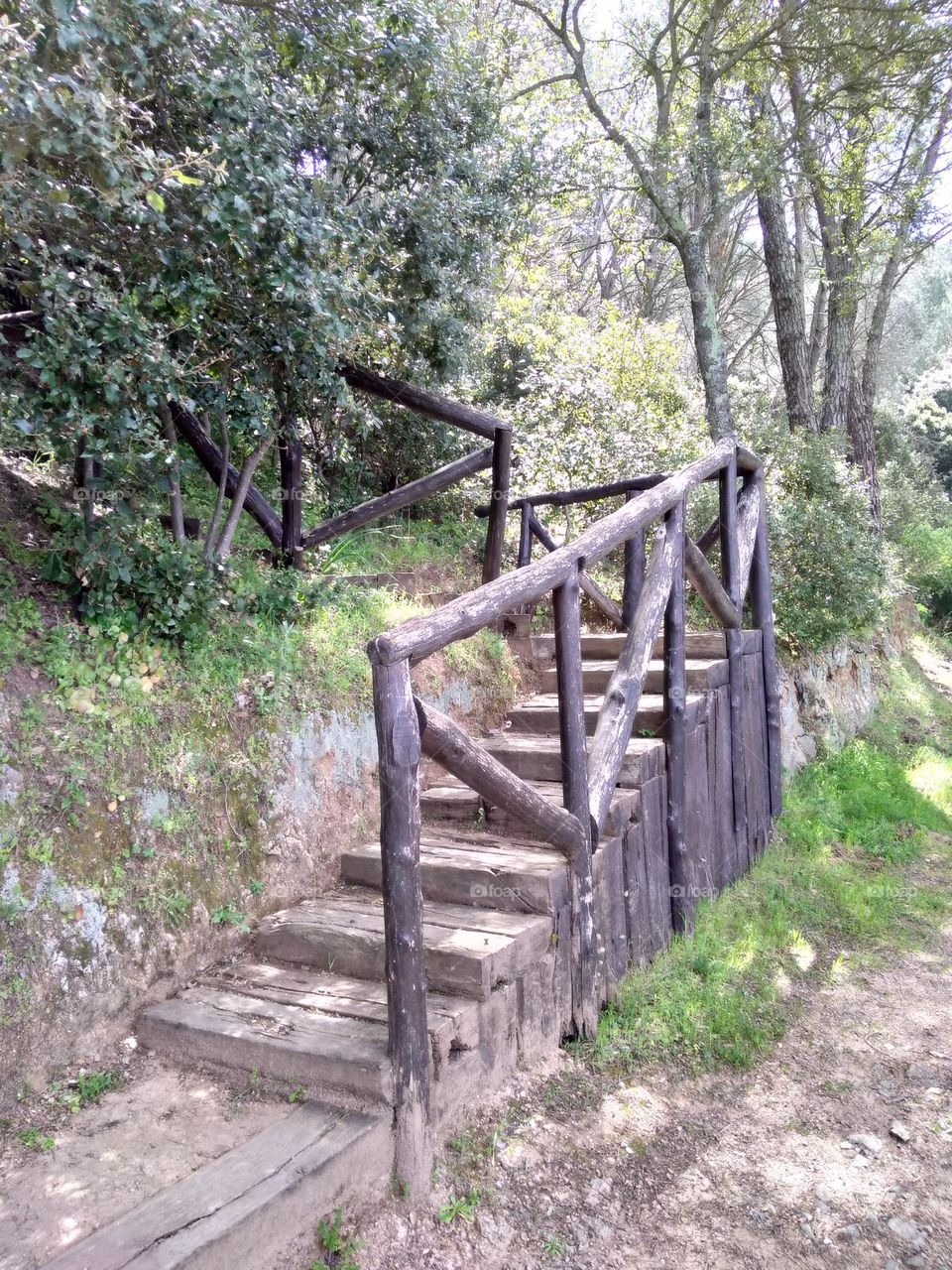 Editors' Choice: Photo of the Week