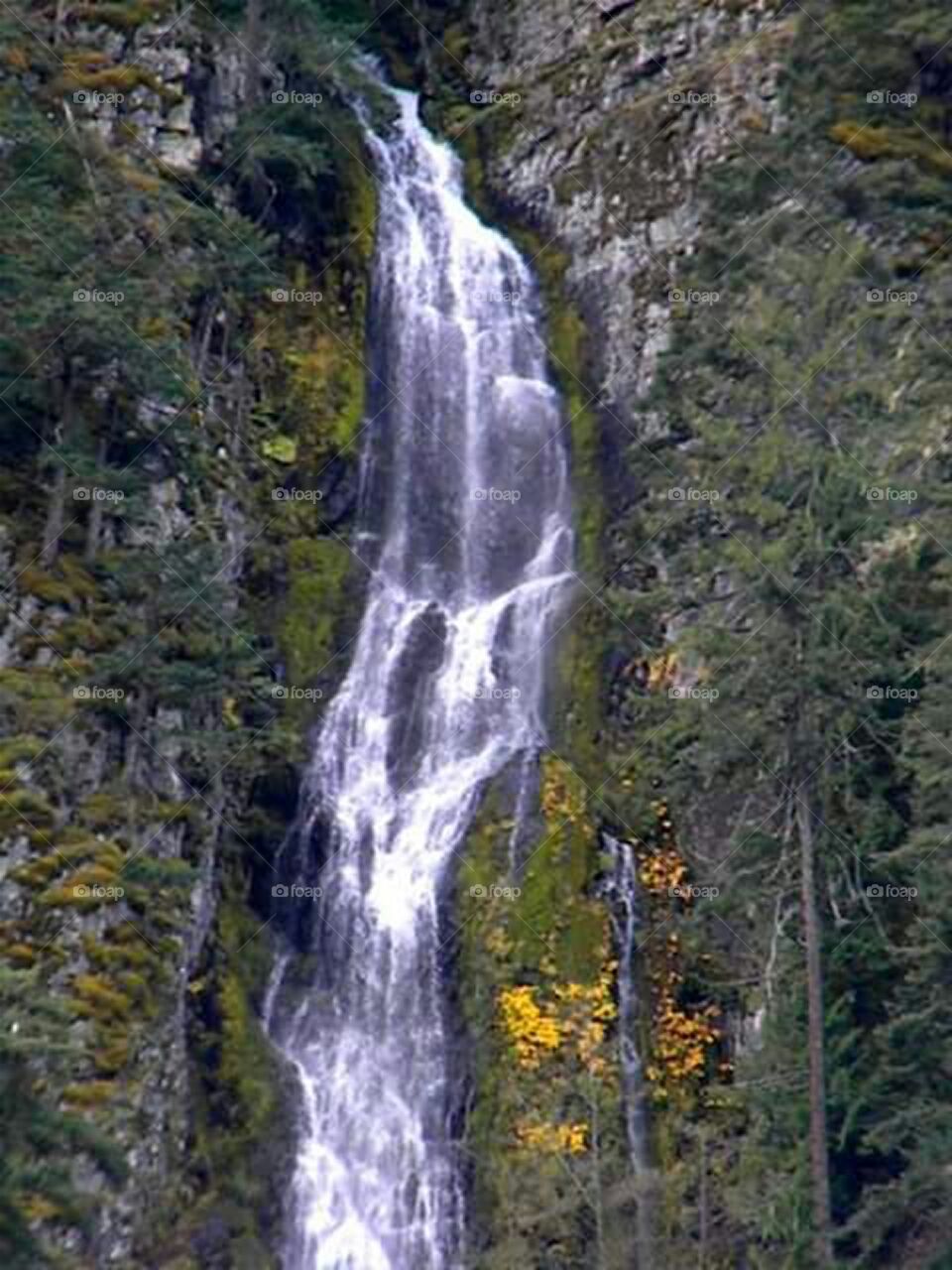 Skookum Falls in Mt Rainier National Park