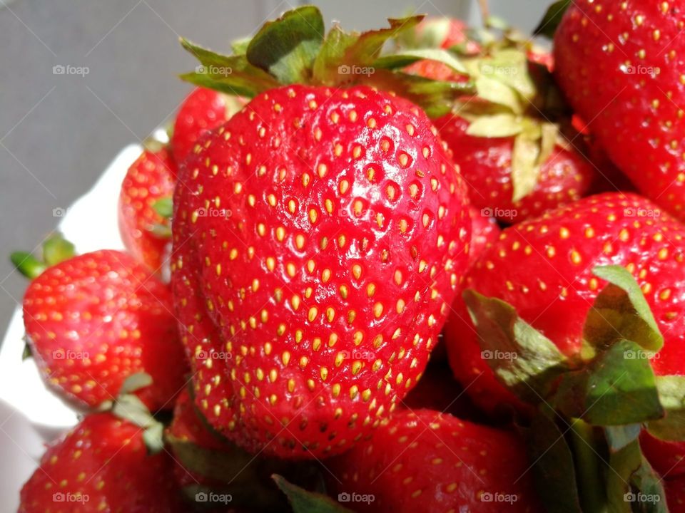 berries strawberries bowl color juicy