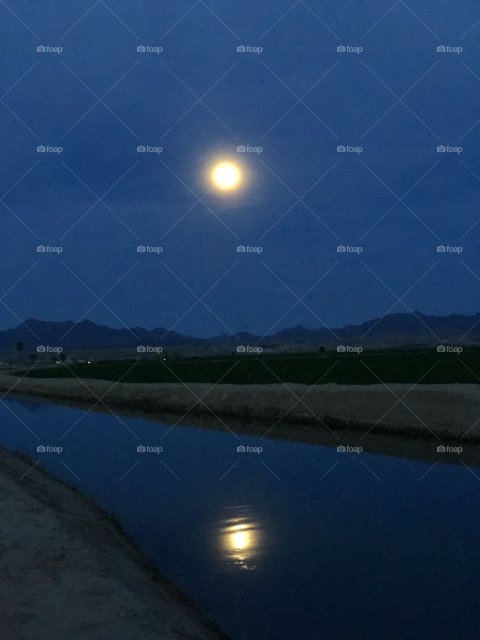 Good Friday’s blue reflection. Risen from the beyond. 