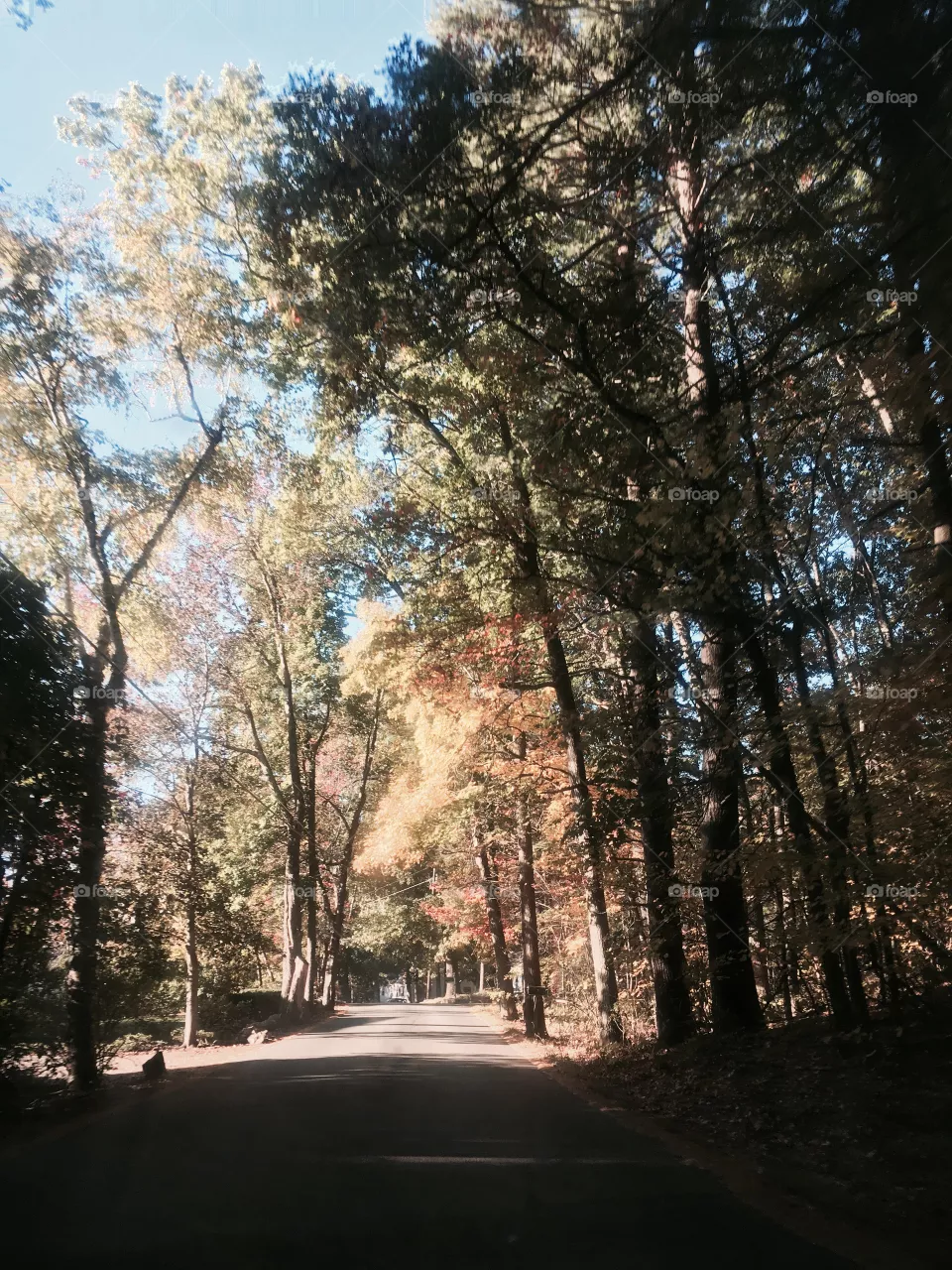 Fall 