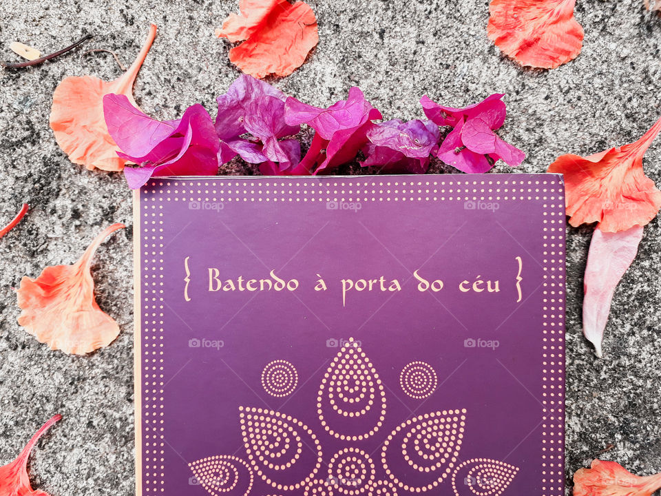 Livro Batendo a porta do Céu