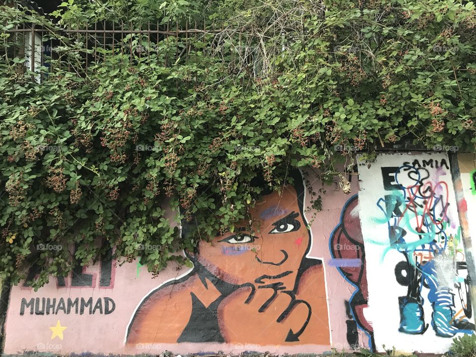 Street art ( Muhammed Ali ) 