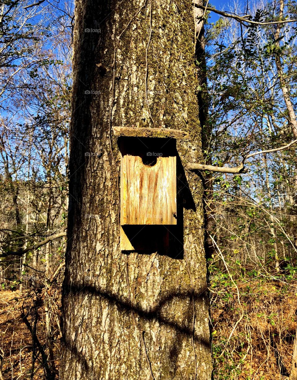 Wooden birdhouse on tree trunk 