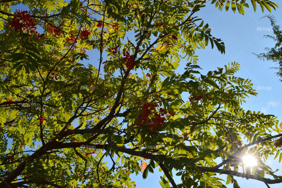 looking up