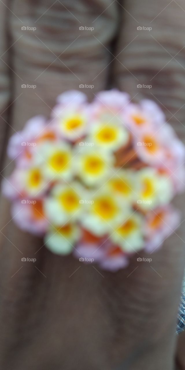 Blur Flowers..
