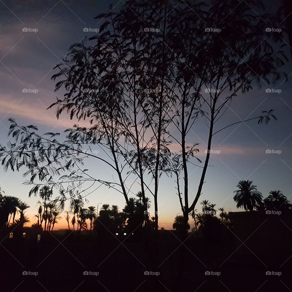 Egypt -Landscape - Sunset