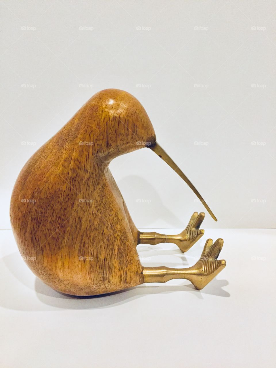 Flightless Kiwi Bird, a New Zealand Native! 