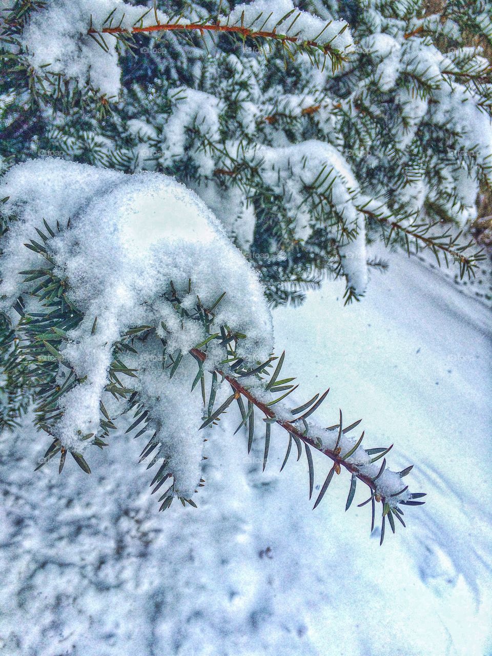 New England Winter, storm #3 in a fortnight....