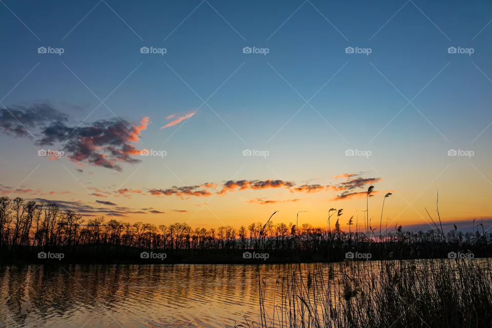 Nature