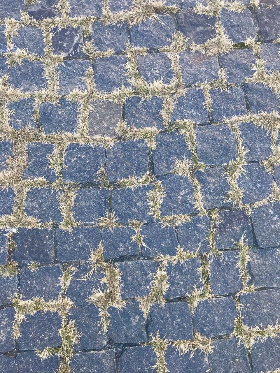 The cobblestone 