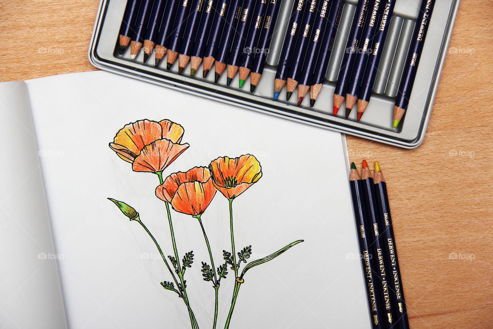 Coloring flowers 