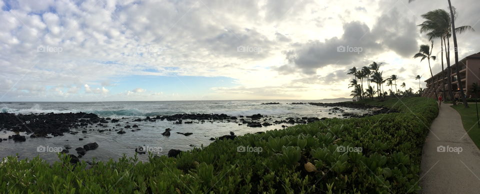 Sun, sky, beach, ocean, shore, palm trees, Hawaii 