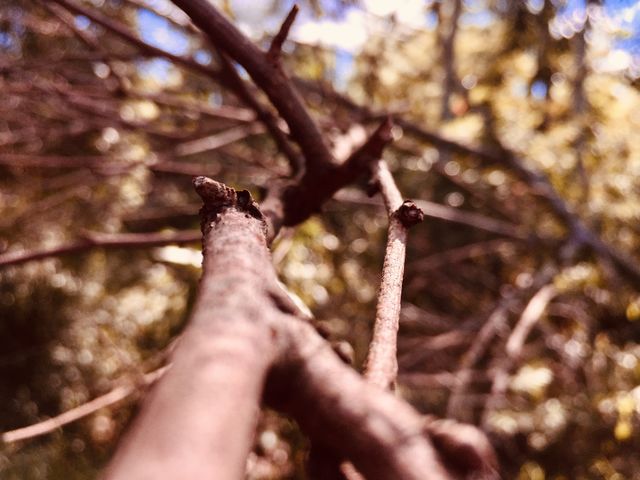 Natureza