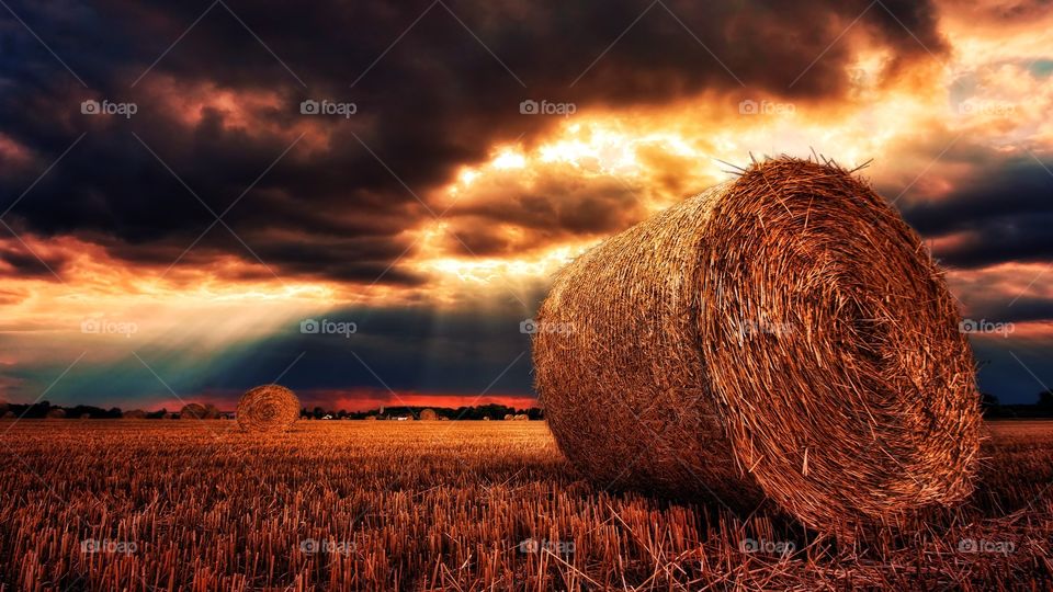 hay roll field