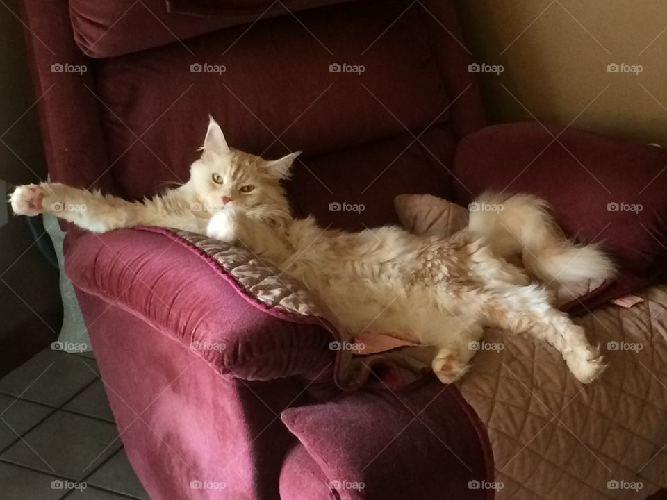 Bring me a beer, please