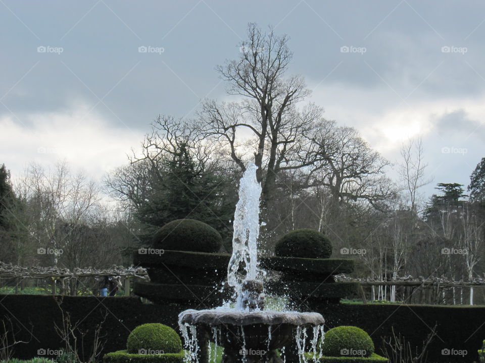 Tree, No Person, Park, Water, Garden