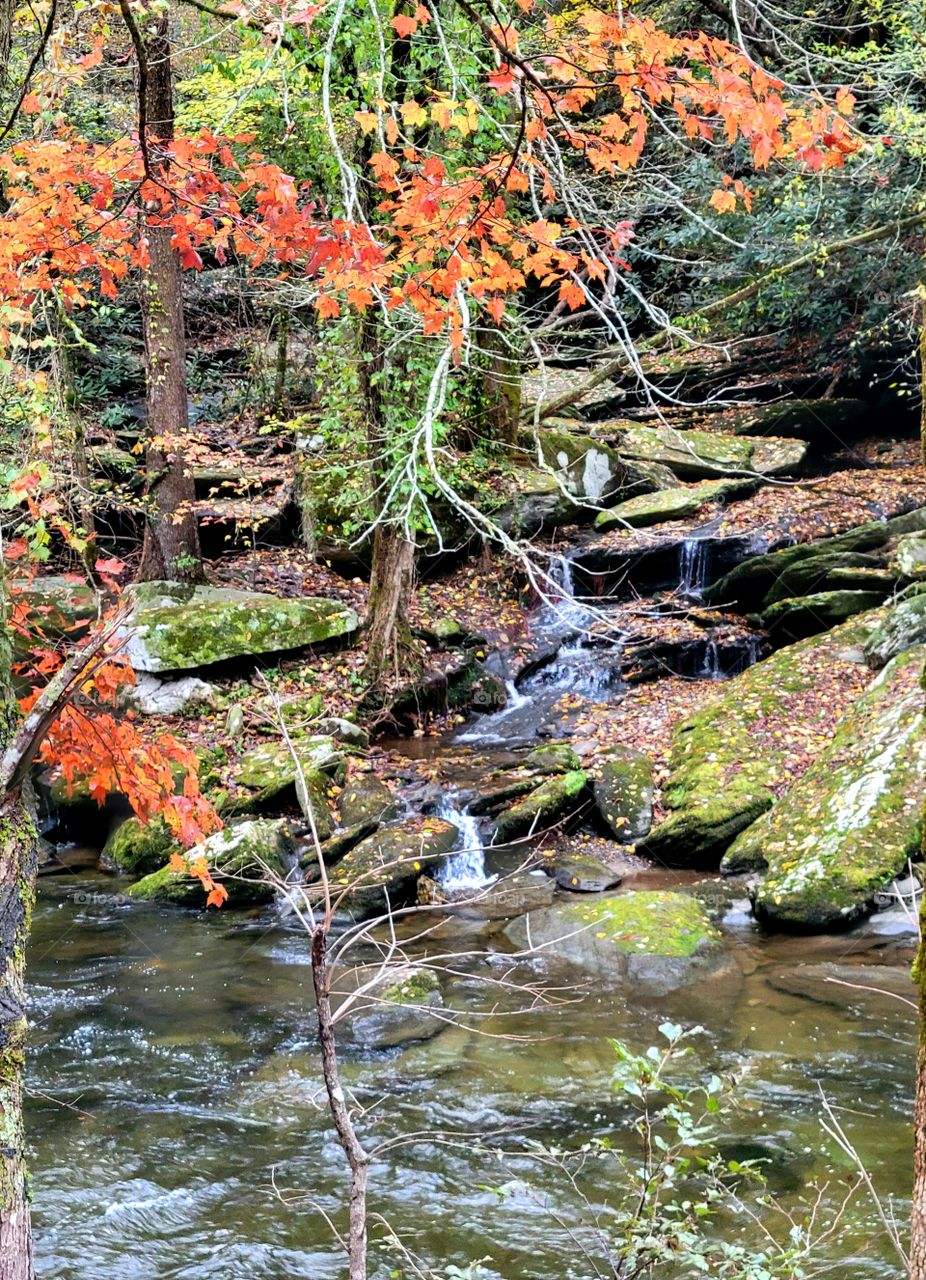 cascading over rocks