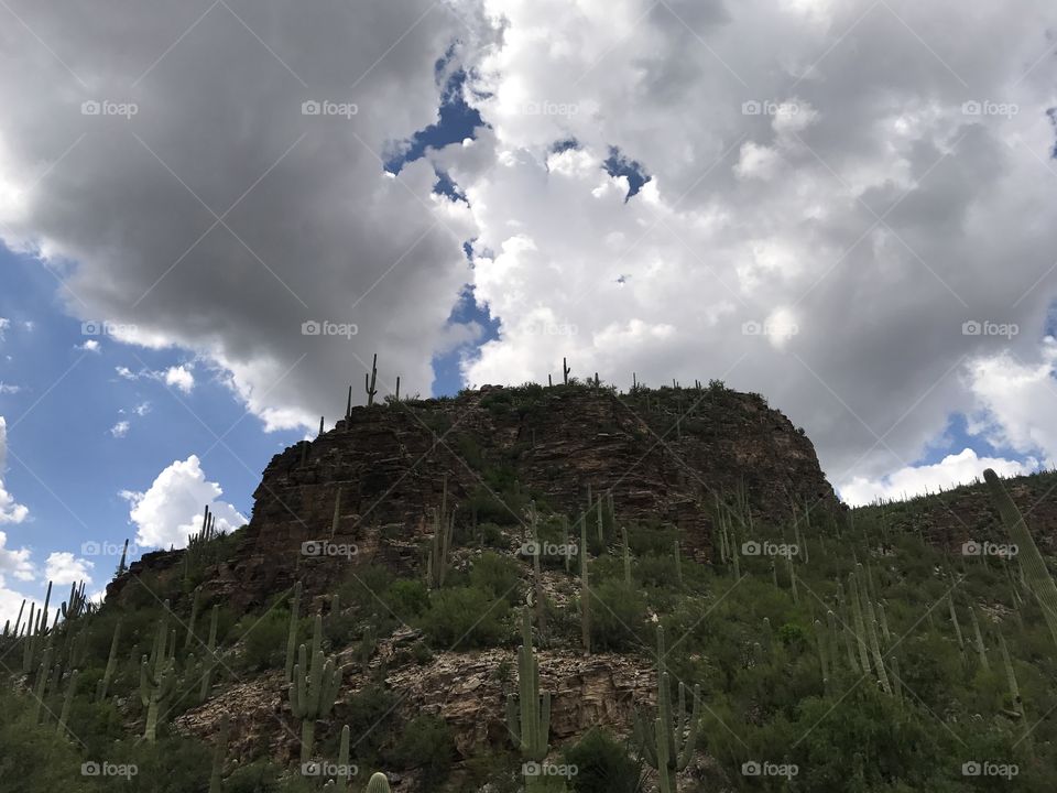 Nature Mountain Landscape - Sabino Canyon in Tucson, Arizona 