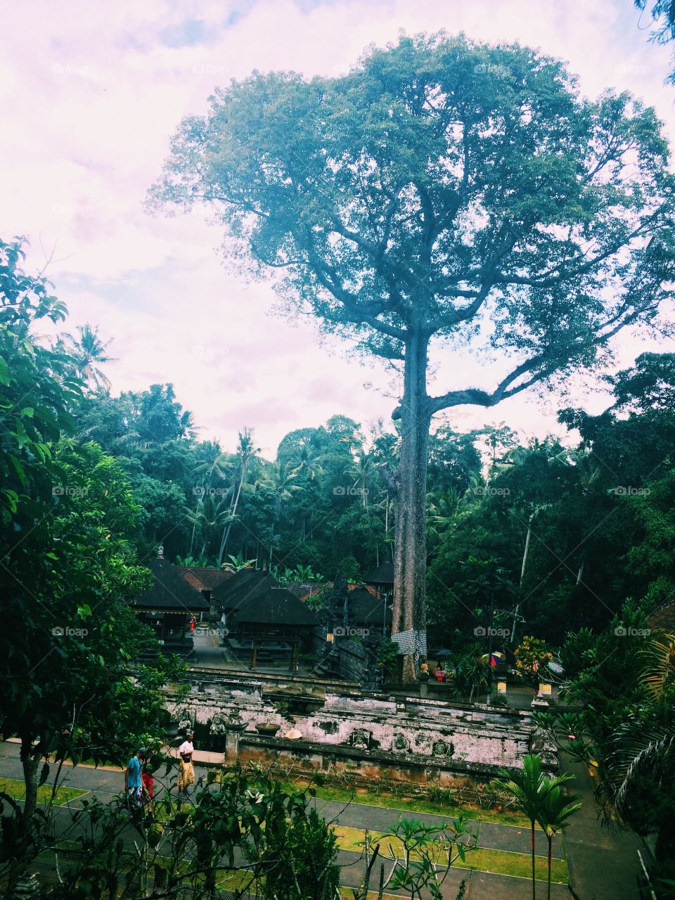 Goa Gajah Temple (Elephant Temple) in Ubud.