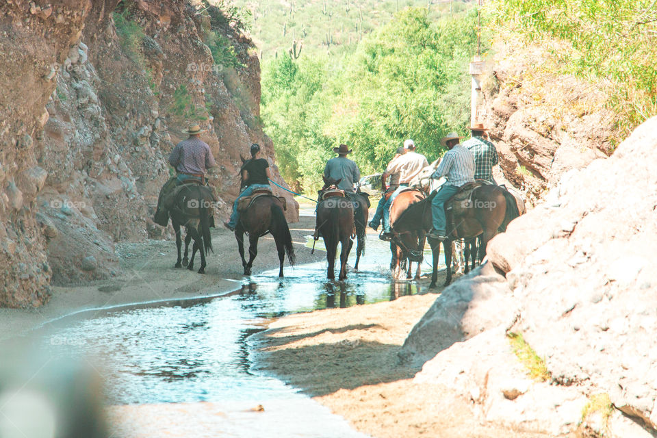 Cowboys and cowgirls 