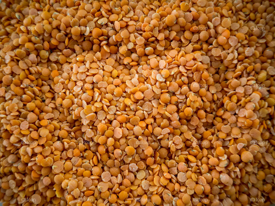 lentil in my kitchen